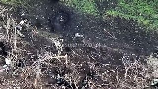 Potrava pre delá