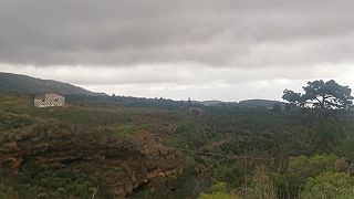 Zurčiaca voda a vtáčiky na farme vo výške cca 1300 m n. m. Tenerife