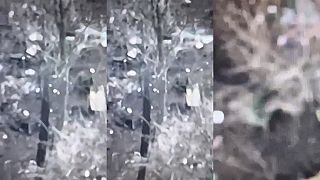 Jagga Jagga pri Soledare #2
