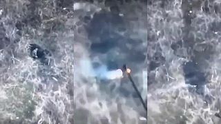 Keď si vykopeš vlastný hrob a ani o tom nevieš