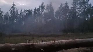 Iný pohľad na Terminator BVPT