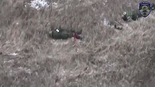 Krásne hnojivo pre ukrajinskú pôdu!
