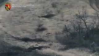 Keď ti povedia pri nábore v base, že budeš len strážiť sklad niekde v tyle
