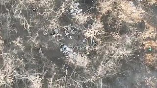 Okupanti zbierajú denacifikovaých kamarátov