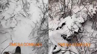 Okupanti dostali zimnú kamufláž