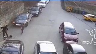 video Pes, ktorý letel skoro ako Gagarin