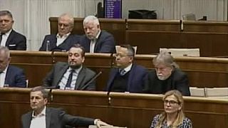 Sme sa hada zo SMERom psychiatria