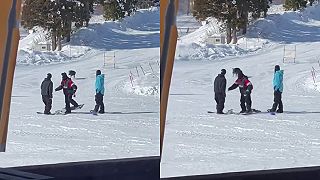 Na snowboarderov v japonskom lyžiarskom stredisku zaútočila divá sviňa