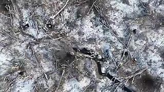 Fajčenie sa vymklo kontrole?