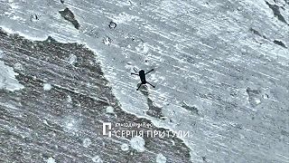 Duel UA dron vs. dron okupantov