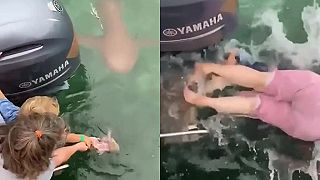 Keď matka kŕmi so synčekom žraloka priamo z motorového člnu