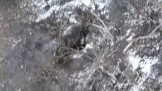Keď ti doma chýba mrkva, cibuľa a zemiaky