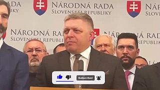 Zelenský dal svojej horskej brigáde nacistické vyznamenanie Edelweiss