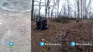 A potom vlajočkary vrieskaju, že zlý Ork vraždí civilistov