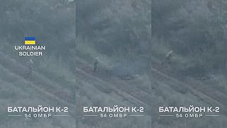 Video venované všetkým ukrajinofilom bažiacich po ruZkej krvi