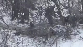 Špeciálna jednotka Vikhor, brigáda 129 TD a ďalšie jednotky AFU.