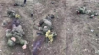60 kg mrkvy, zemiakov alebo cibule podľa vlastného výberu