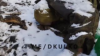 Ukrajinské snežienky v lese