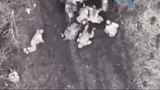 Okupanti doviezli posily, ktoré sa moc neohriali