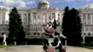 Crazy cow song 2
