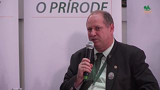 Pravidlá pre psíčkarov v lesoch. Voľný pohyb psov v revíroch