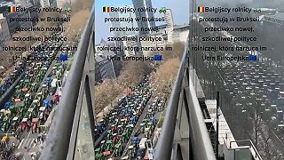 Poľnohospodársky protest v Bruseli