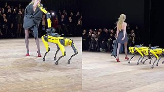 Robot gentleman
