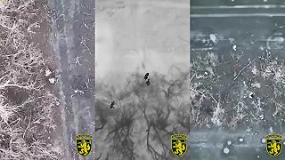 68. brigáda pri denacifikácii invázneho druhu dronmi