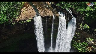 Cileos - Land of Lost Tears