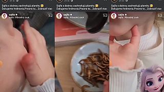 Progresívne hyper hodnotovo uvedomelý súdruh Sajfovics dáva chálovat decku hmyz