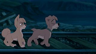Lady a Tramp,2