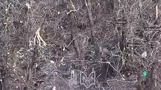 Da Vinciho Vlci vytlačili Wágnerovcov pri Bachmute