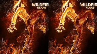 Wildfire