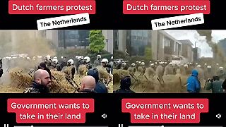 Protest farmárov v Holandsku
