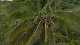 Udrela ho tam!