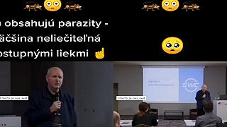 Kto papá hmyz?