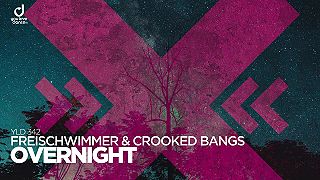 Freischwimmer feat. Crooked Bangs - Overnight