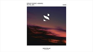 Steve Forest x Kosimo, Te Pai & ARI. - Now