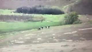 Priateľský pozdrav okupantom, od bratov ukrajincov