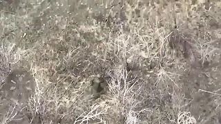 Okupant prišiel kradnúť a vraždiť