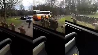 Britská armáda vzdáva poctu Ukrajinským vojakom a vyprevádza ich na ceste domov