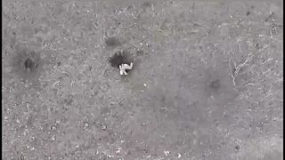 Dron bezhlavo po wagnerovi
