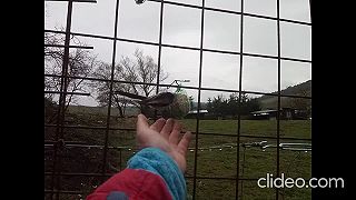 Čo na vtáčiu hypnózu doc. M. Saniga - najlepší ornitológ SR?