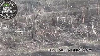 Okupanti na výlete len