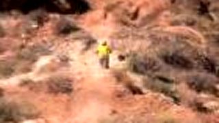 Darren Berrecloth on Red Bull Rampage