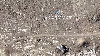 Boli raz dvaja kamaráti