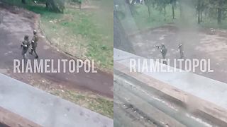 Okupantom v dočasne okupovanom Melitopole sa nepáčil ukrajinský pes