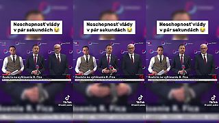 Odvolaná vláda SR