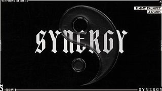 Timmy Trumpet x DVBBS - Synergy