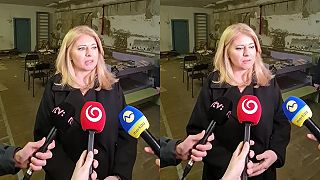 Pani z paláca konštatuje